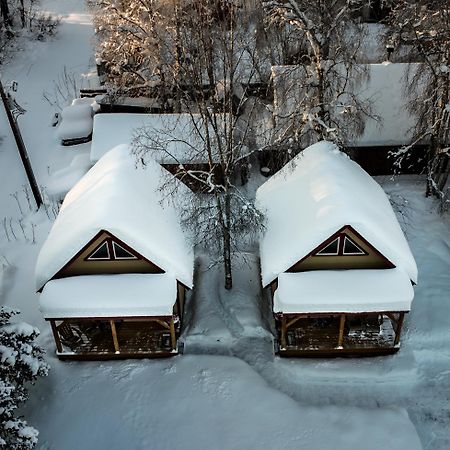 Downtown Talkeetna Cabin! Chulitna Cabin Kültér fotó