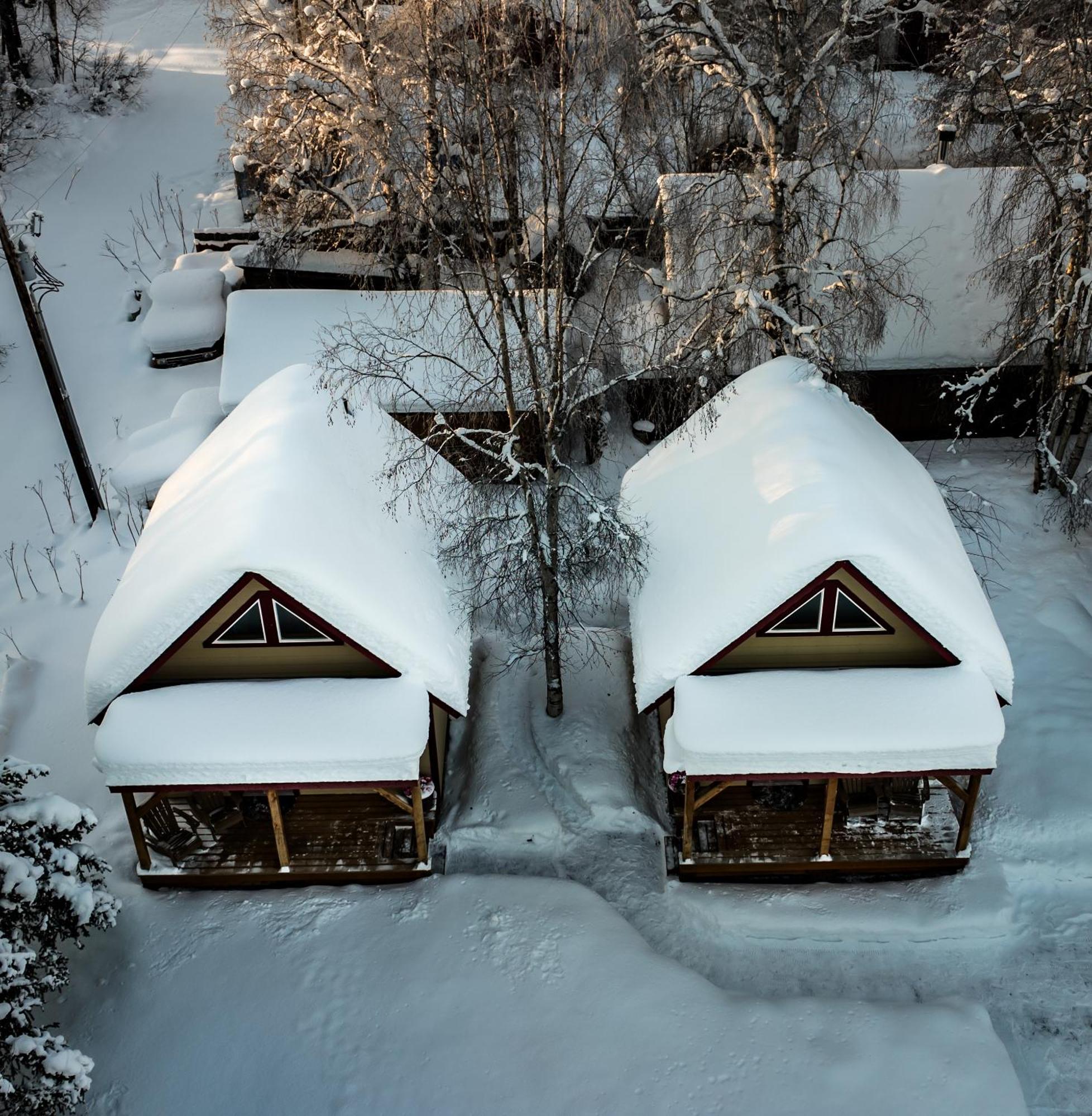 Downtown Talkeetna Cabin! Chulitna Cabin Kültér fotó